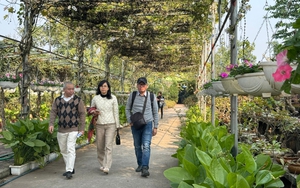 Hồng V&#226;n - Điểm s&#225;ng du lịch cộng đồng đạt OCOP của H&#224; Nội