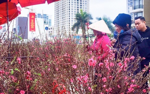 Hà Nội siết kỷ cương, giữ an ninh trật tự dịp Tết Bính Ngọ 2026