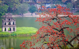 M&#249;a mộc mi&#234;n thắp lửa gọi h&#232; về