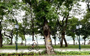 Giải ph&#225;p ho&#224;n thiện quy hoạch xanh cho Thủ đ&#244; H&#224; Nội