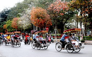 Cơ hội bứt phá cho du lịch Hà Nội dịp Tết Bính Ngọ 2026