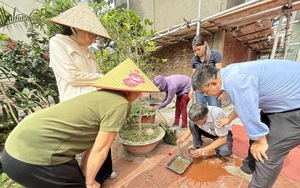 Ca mắc sốt xuất huyết và tay chân miệng gia tăng nhanh