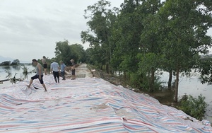 Phê duyệt phương án ứng phó thiên tai theo cấp độ rủi ro thiên tai những tháng cuối năm