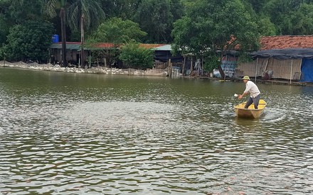 Mô hình khuyến nông an toàn thúc đẩy tiêu thụ cho nông dân