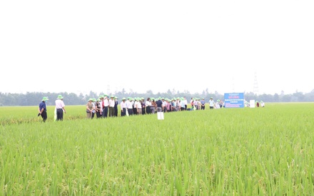 Nông nghiệp Hà Nội 2025: Tăng trưởng từ chiều sâu, bứt phá bằng chất lượng