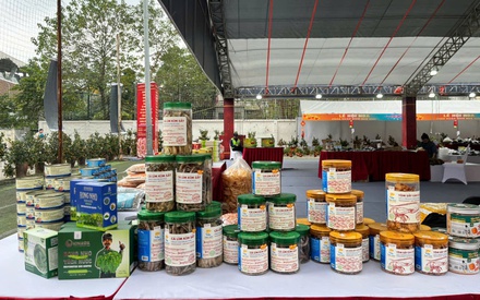 Hà Nội kết nối sản phẩm tiêu dùng phục vụ Tết Bính Ngọ 2026