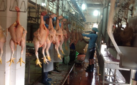 Siết chặt quản lý giết mổ, hướng tới xóa bỏ cơ sở nhỏ lẻ ở ngoại thành