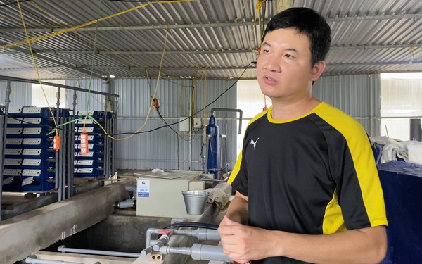 Nuôi cua biển đặc sản giữa lòng Hà Nội