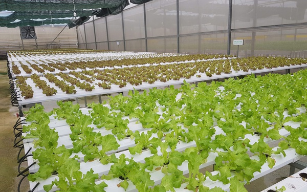 Minh bạch nguồn gốc – nền tảng bảo đảm an to&#224;n thực phẩm