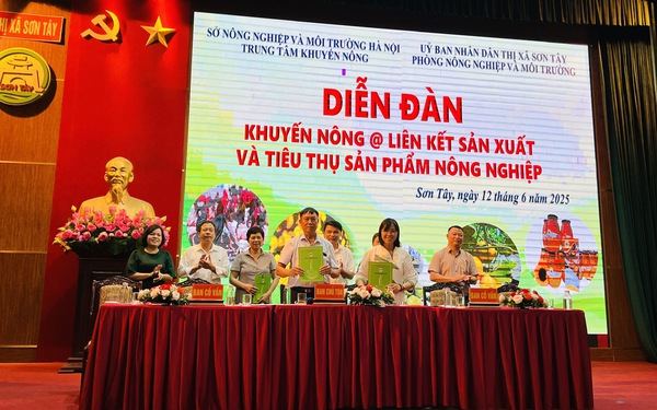 Đẩy mạnh xúc tiến thương mại liên kết sản xuất cùng bà con nông dân