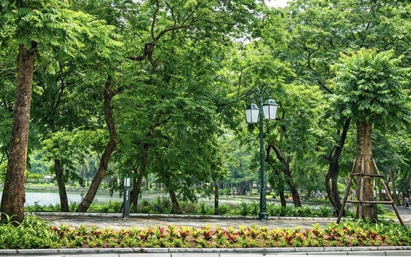 Hà Nội từng bước kiến tạo không gian xanh, hướng tới ‘rừng trong phố, phố trong rừng’