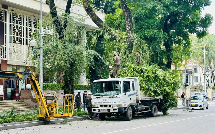 Cắt tỉa cây xanh bảo đảm an toàn mùa mưa bão