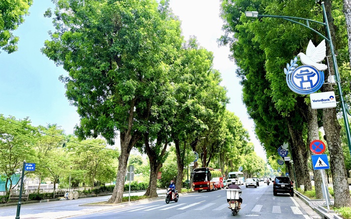 Xây dựng Hà Nội thành đô thị xanh: Giải pháp chiến lược cho hệ thống cây xanh, công viên, vườn hoa