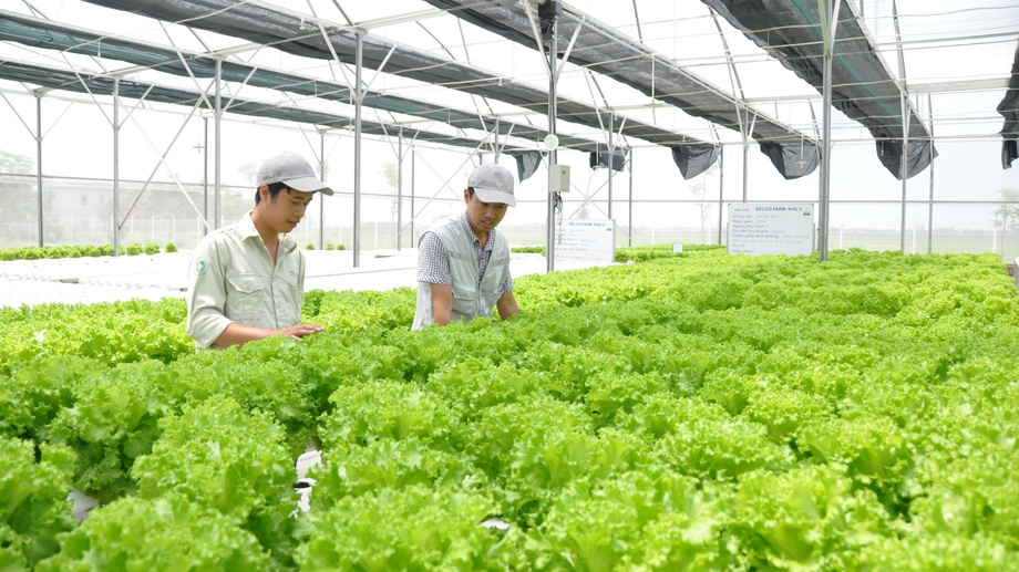 Hi-tech farming production accelerated