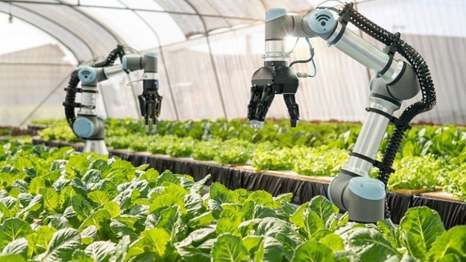 Digital technology – An inevitable trend in Ha Noi’s agricultural production