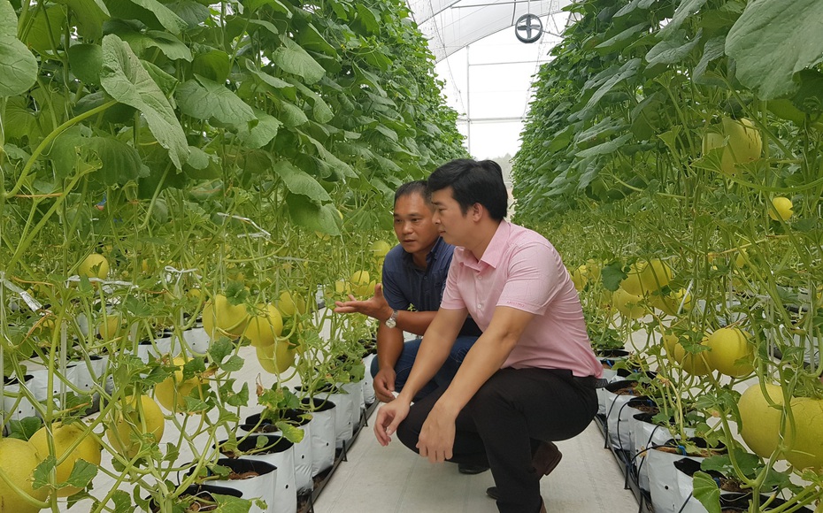 Ph&#225;t triển mới m&#244; h&#236;nh ứng dụng c&#244;ng nghệ cao trong sản xuất n&#244;ng nghiệp