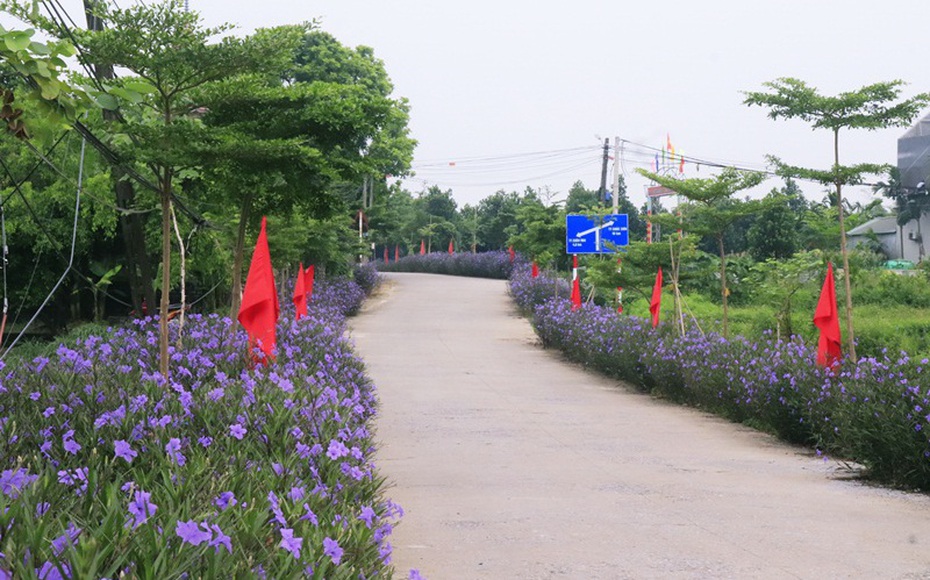 H&#224; Nội ho&#224;n th&#224;nh x&#226;y dựng n&#244;ng th&#244;n mới cấp Th&#224;nh phố năm 2024