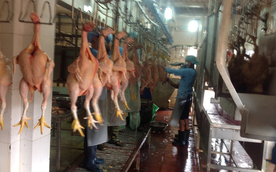 Siết chặt quản lý giết mổ, hướng tới xóa bỏ cơ sở nhỏ lẻ ở ngoại thành