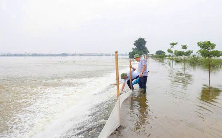 Báo động lũ trên nhiều sông, tăng cường ứng phó phòng chống thiên tai